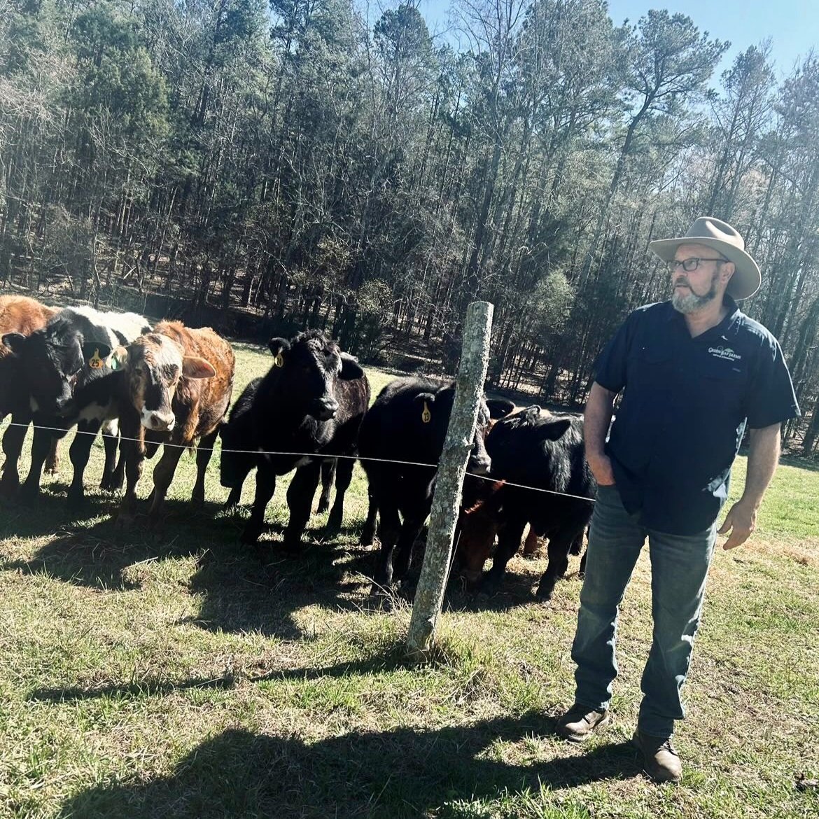 Cattle farmer standing by a fence with a herd of cows in a green pasture surrounded by trees, showcasing sustainable farming practices.